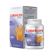 Cordyceps Pulse Produktas