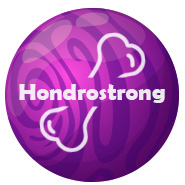 Hondrostrong Produktas