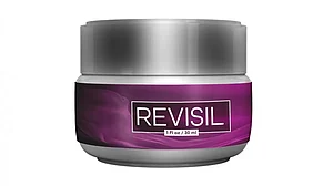 Revisil