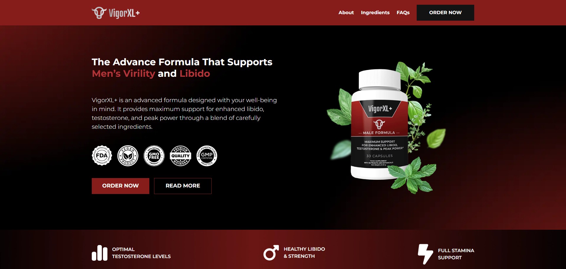 VigorXL Produktas